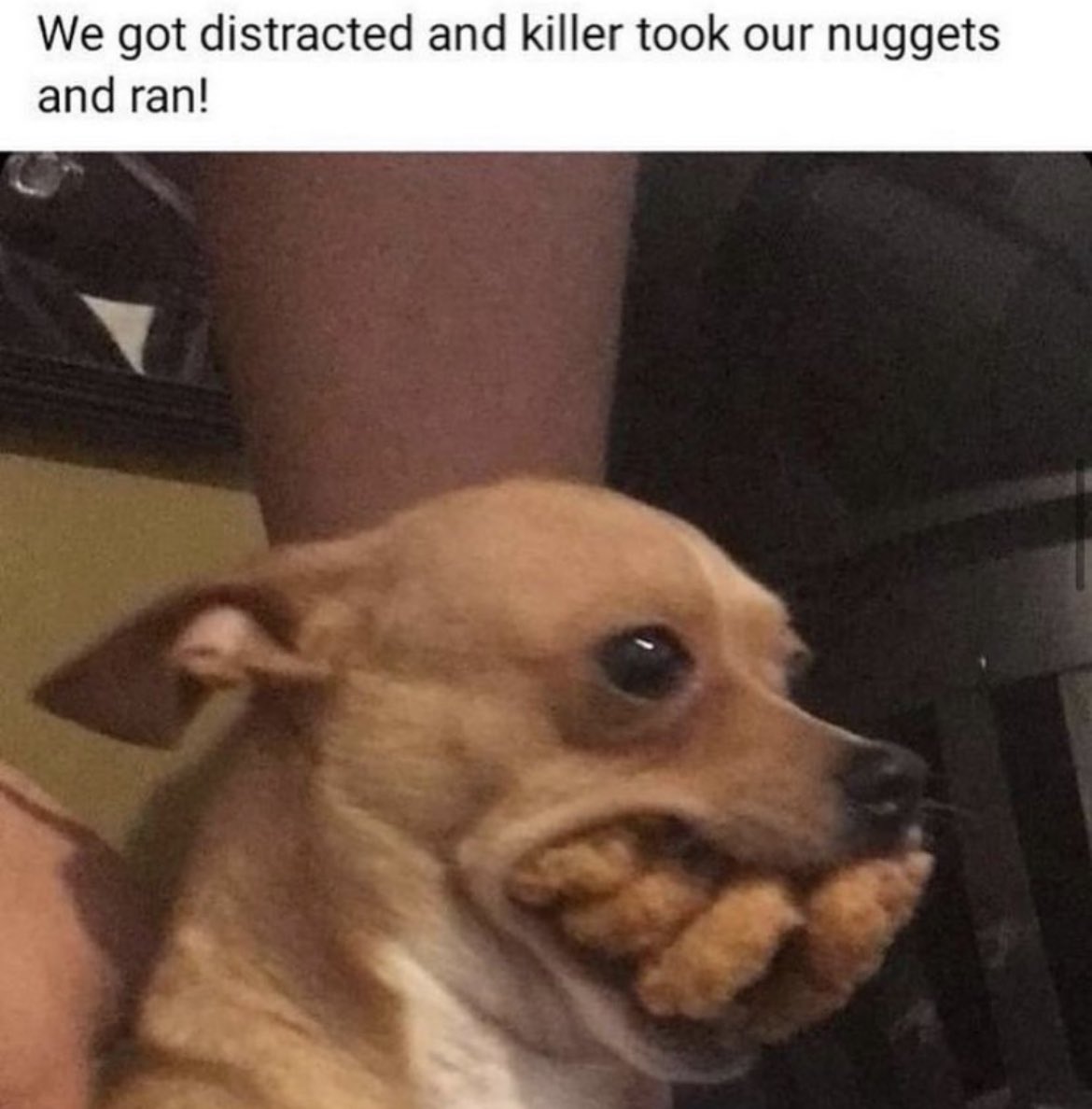 Respectful Memes tweet media