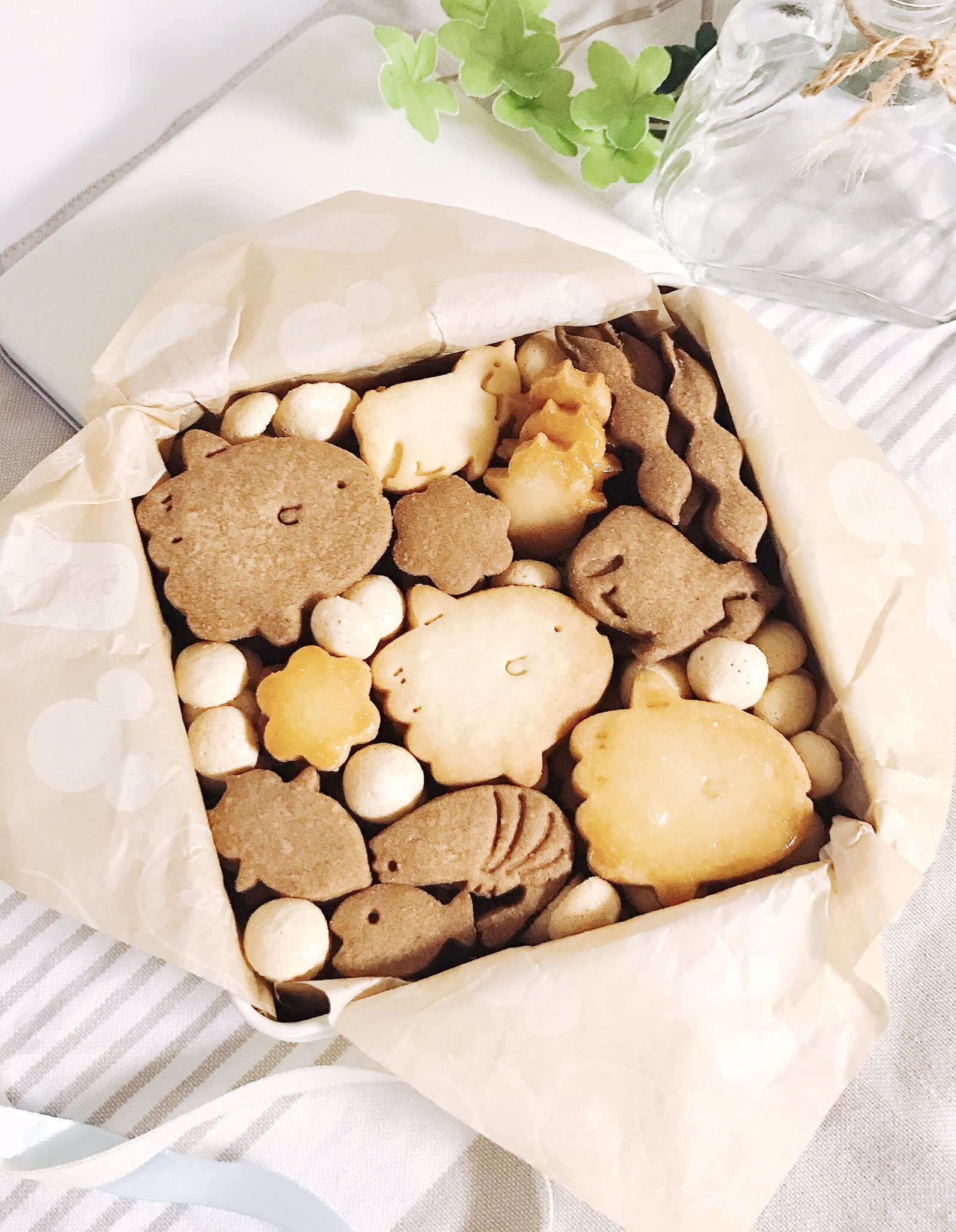 てるる W クッキー缶に詰めてみたよ 艸 隙間埋めるのに急遽作ったメレンゲクッキー 気泡みたいで良い感じ ココア レモン メレンゲクッキー キャラメルアーモンドパウダー入り これ美味い お菓子な水族缶 うさぎのおかし てるる W クッキー缶に詰めてみたよ 艸 隙間埋めるのに急遽作ったメレンゲクッキー 気泡みたいで良い感じ ココア レモン メレンゲクッキー キャラメルアーモンドパウダー入り これ美味い お菓子な水族缶 うさぎのおかし