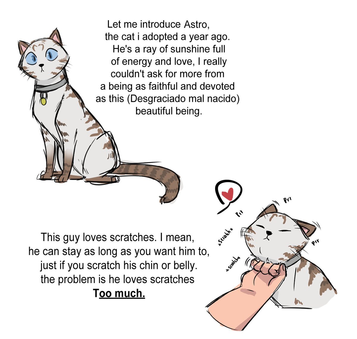Personal experience why not. 
I love my cat but dear god- 