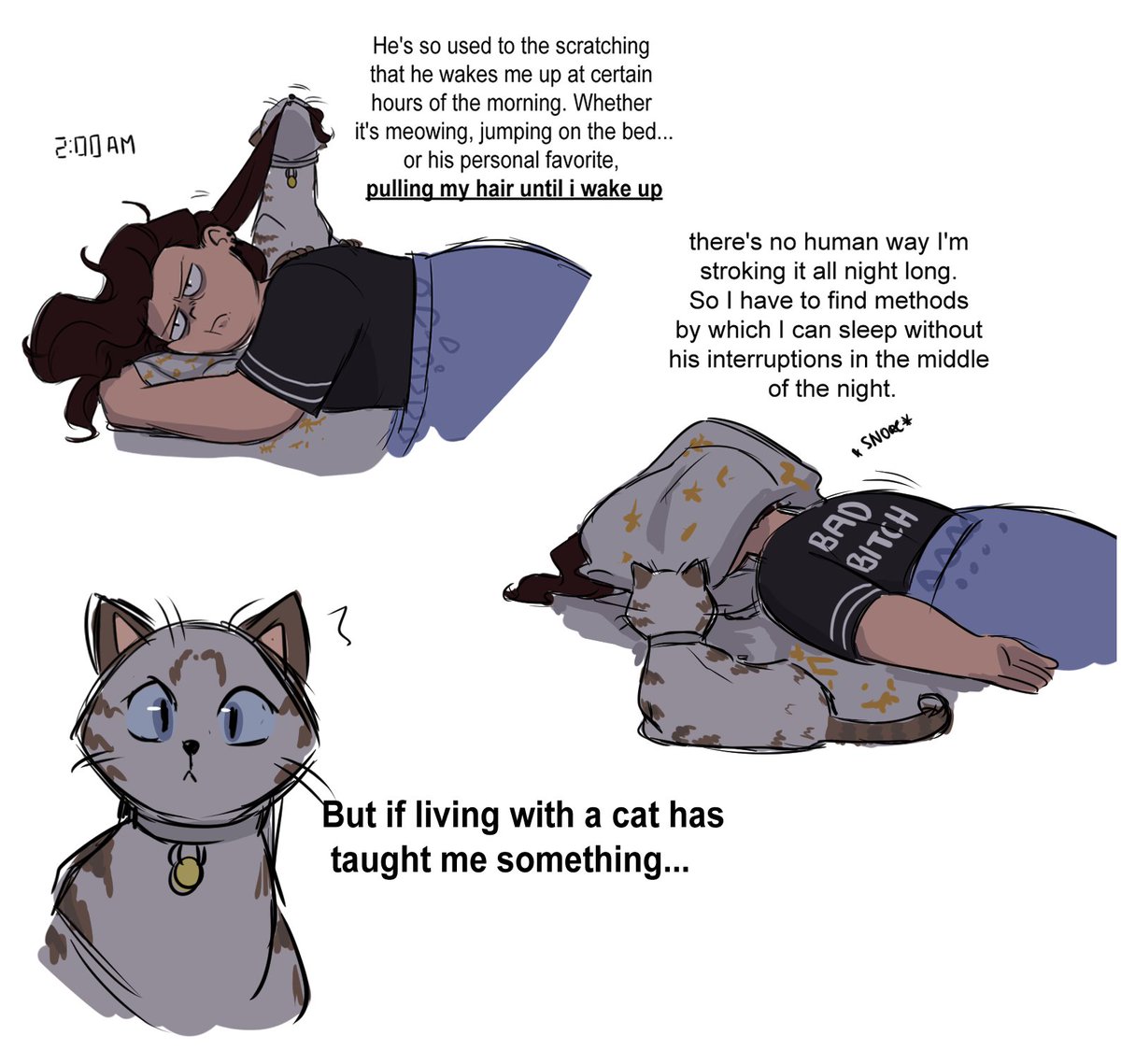Personal experience why not. 
I love my cat but dear god- 