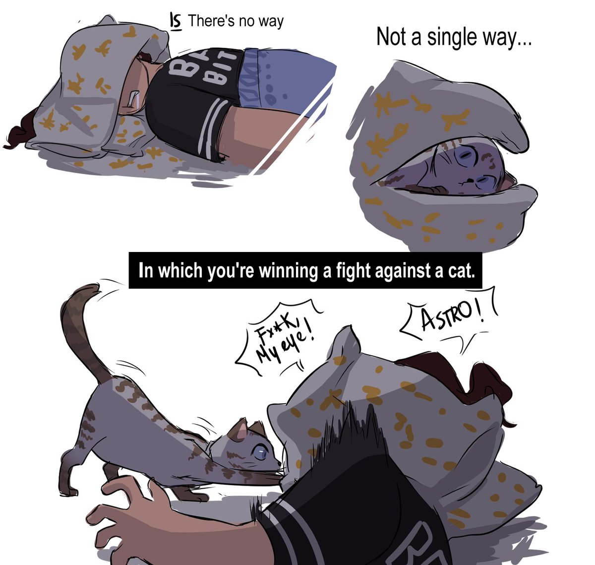 Personal experience why not. 
I love my cat but dear god- 