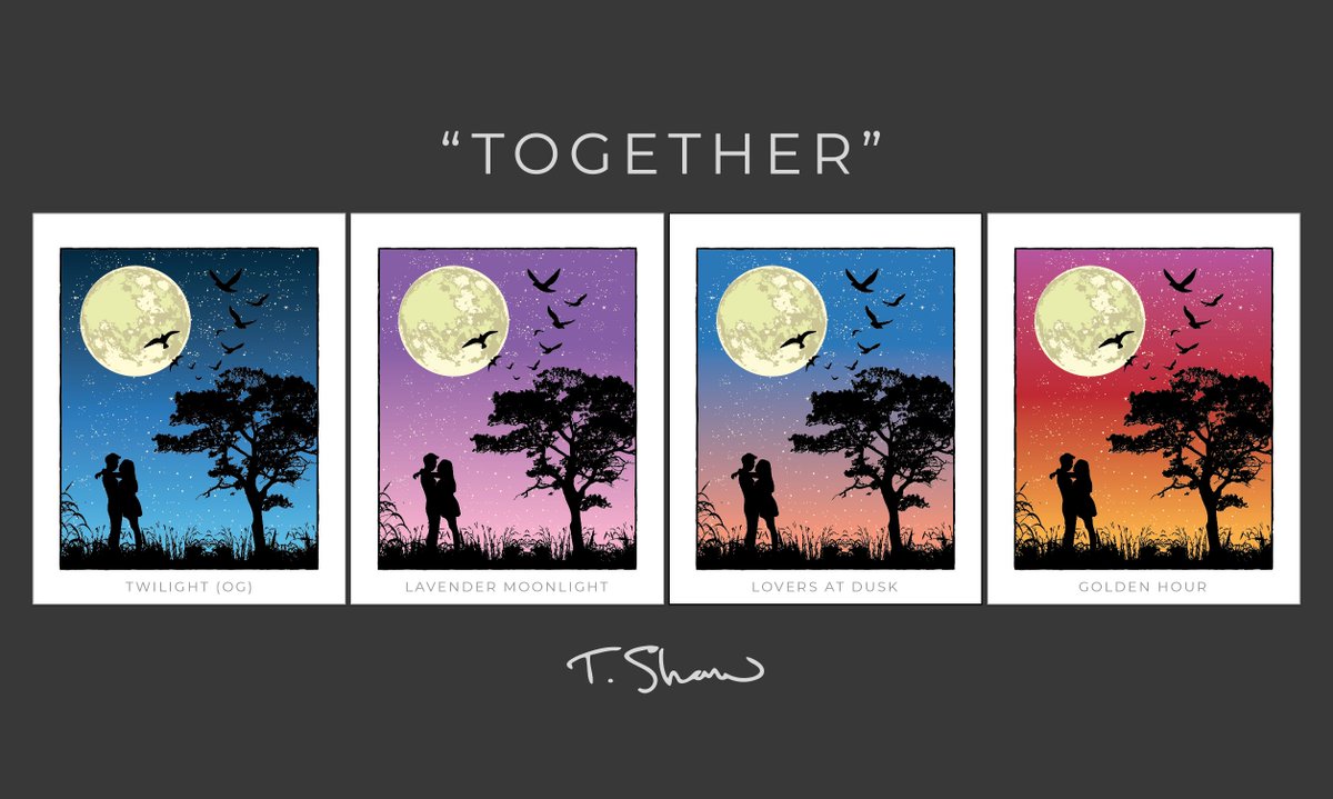 Tom Shaw tweet media