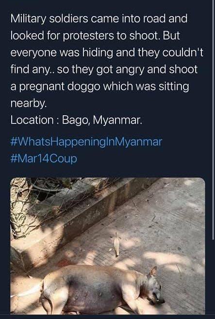 #Mar14Coup #WhatsHappeningInMyanmar