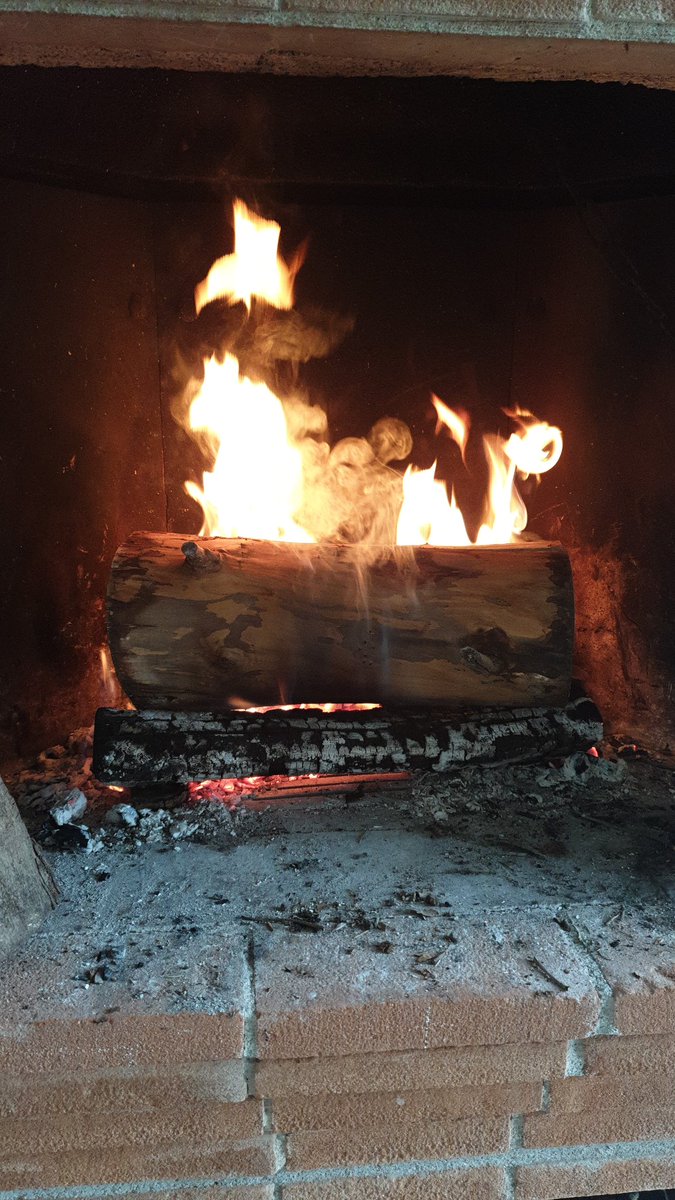 💫 Milly needs *more* hours in the day tweet media