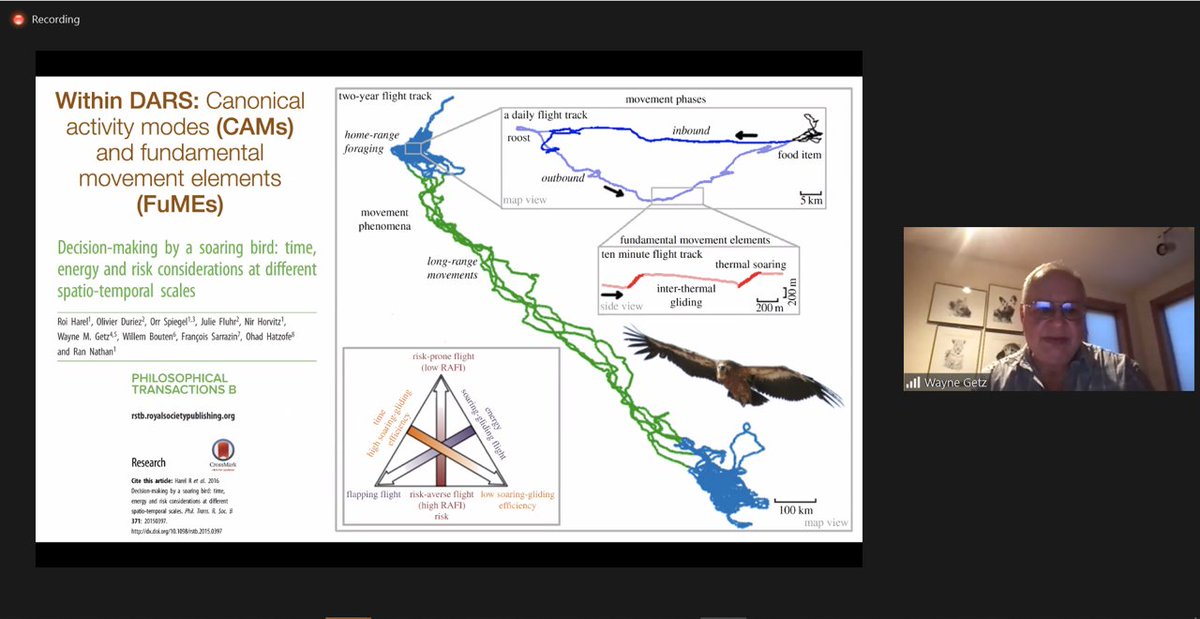 Mitrani #Zoom seminar <a href="/mddeBGU/">mdde</a>

We had a great by Wayne Getz <a href="/VLSB5048/">GetzLab</a>, <a href="/ESPM_Berkeley/">Berkeley Environmental Science, Policy & Mngmt</a>, on:

"Fifteen years beyond the Getz-Saltz framework for generating and analyzing #movement paths on #ecological #landscapes"

nature.berkeley.edu/getzlab/