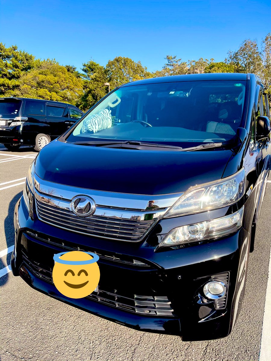 ゴリラ いい天気なので朝から洗車からのパシャリ ヴェルファイア ゔぇるふぁいあ 系 後期 車好きと繋がりたい Toyota ゴリラ いい天気なので朝から洗車からのパシャリ ヴェルファイア ゔぇるふぁいあ 系 後期 車好きと繋がりたい Toyota