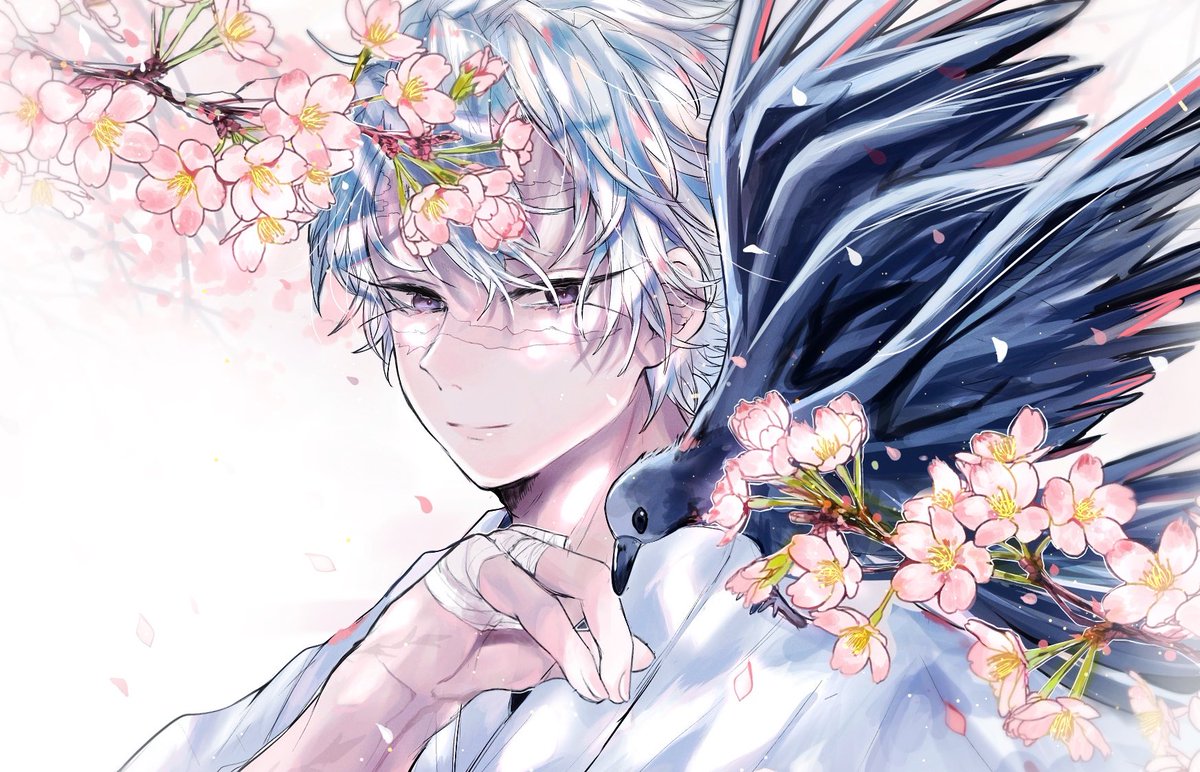 1boy male focus bird white hair cherry blossoms solo bird on shoulder  illustration images