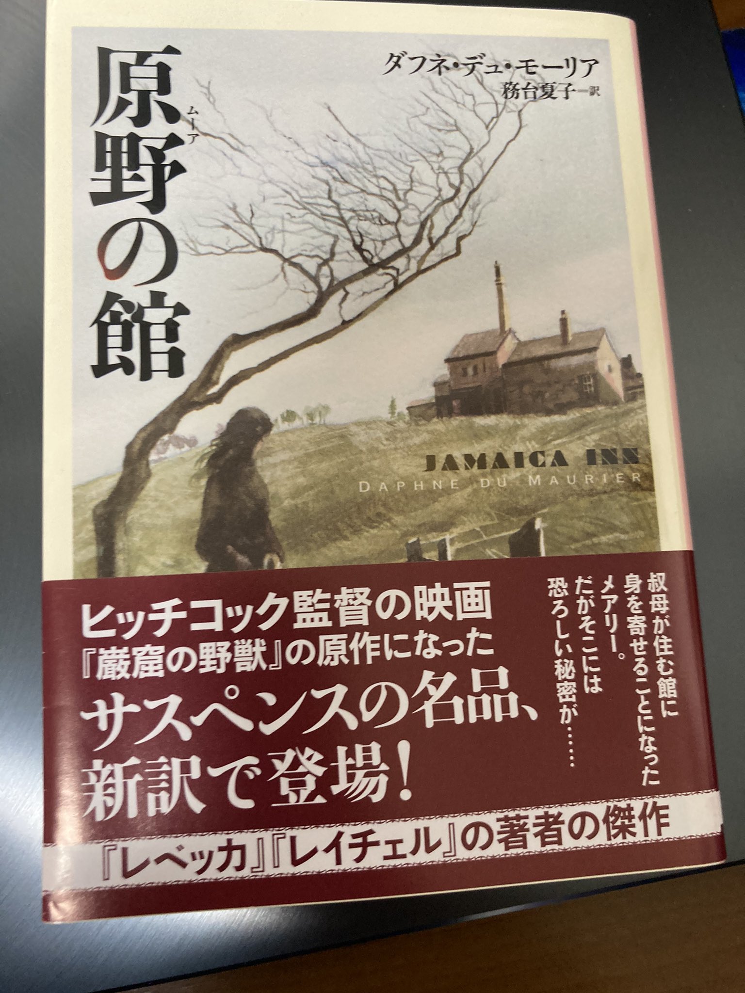 阿津川辰海 ダフネ デュ モーリア 原野 ムーア の館 を読みました たっまんねぇ 母が死んで叔母のもとに引き取られた女性 そこで出会ったのは叔母を虐げる叔父と 夜な夜な館に集まる怪しげな男たちの姿だった 荒漠たる原野や濃密な恐怖の描写