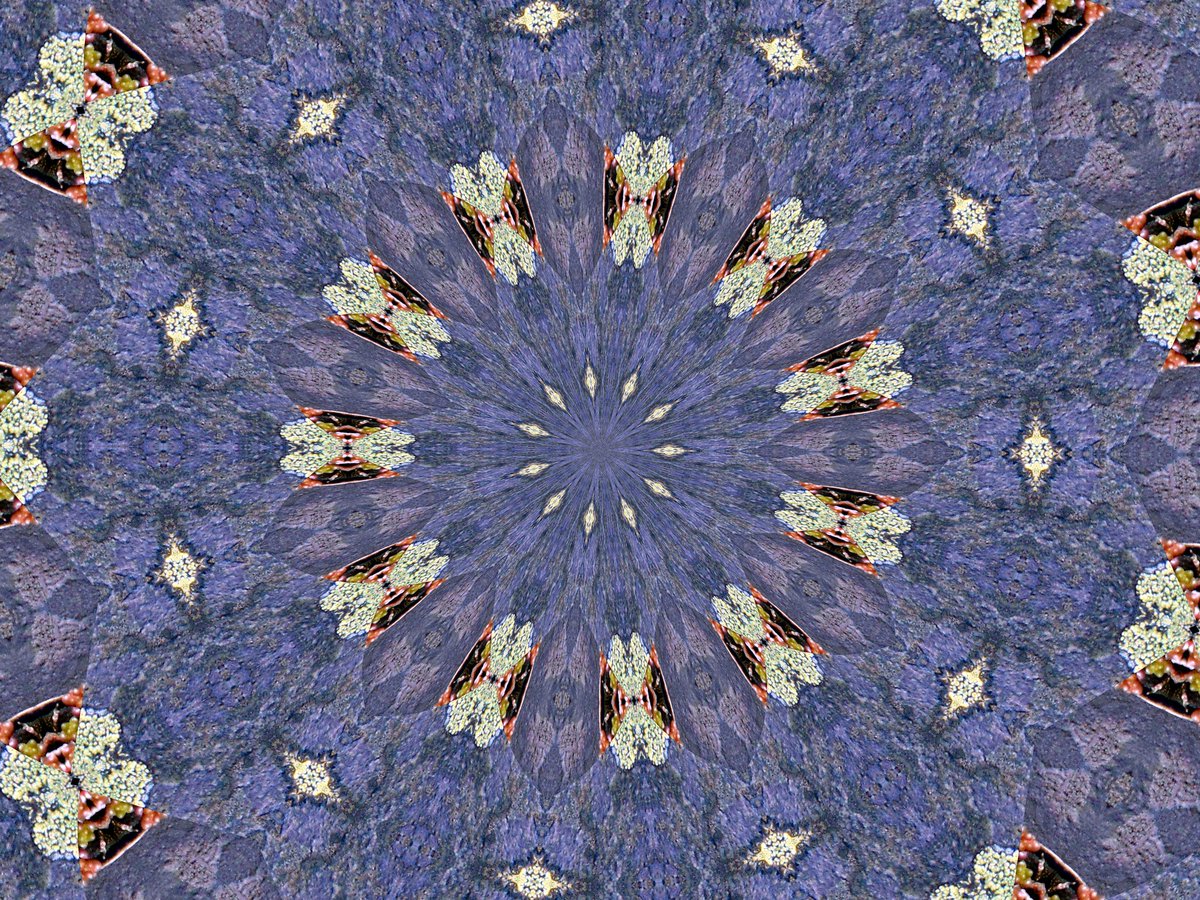 kathleendawson9's tweet photo. #needanewlogo #packagingdesign #carddesign #wrappingpaperdesign #gifttagsdesign #prints #wallpapperdesign #tiledesign #art #design https://t.co/Y4o3qvUtPy