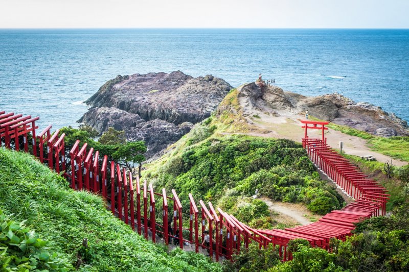 JapanTravel's tweet photo. We’re still looking at #Yamaguchi for today’s #47prefectureproject, and this is one of the area’s most popular destinations! Motonosumi Inari Shrine is located in Nagato City, and is home to an impressive 123 torii gates.
Read more: https://t.co/oRTyjvatTC #JapanTravel #MyJapan https://t.co/AKPyOANgdV
