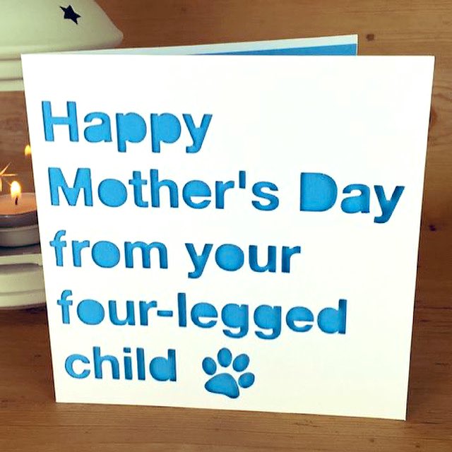 ArberthVet's tweet photo. Happy Mother’s Day. #MothersDay2021 #petchildren #pets https://t.co/9dNUMFw7ab