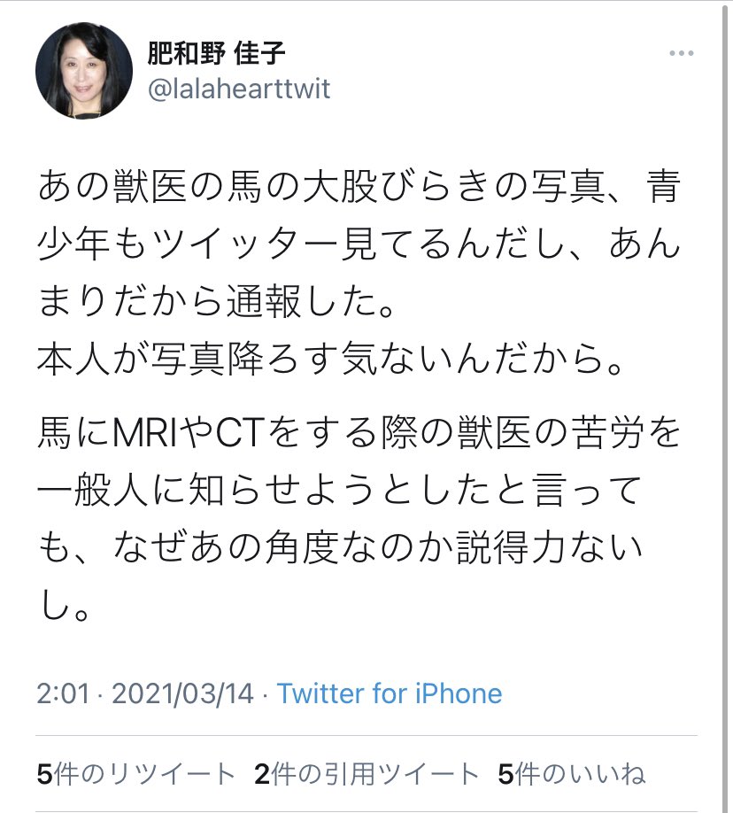 馬にも基本的馬権がある 馬ct撮影風景 Togetter 馬にも基本的馬権がある 馬ct撮影風景 Togetter