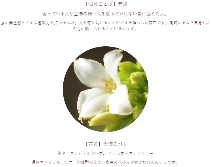 青龍聖者 ひぐらしのなく頃に 鑑賞勢 ひぐらし業 ひぐらしのなく頃に業 ひぐらし 全人物誕生日 花個紋考察3 竜宮 レナ 誕生日 1967年7月28日 花個紋 丸に極楽鳥花 至上 高い理想に向かって 常に努力のできる人 中国の花言葉 思いを寄せる 幸せで