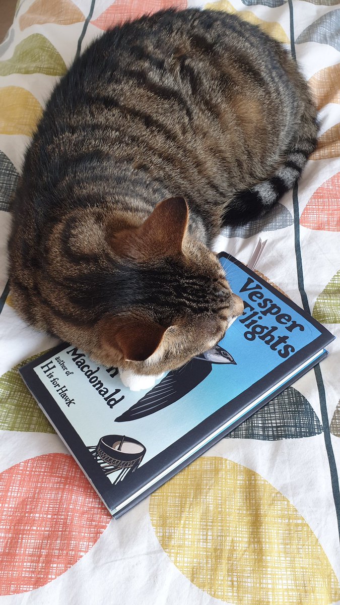 Claire Innes-Hopkins (@ceinneshopkins) on Twitter photo My cat has claimed the wonderful Vesper Flights for his own! Please can I have it back so I can carry on reading it. <a href="/HelenJMacdonald/">Helen Macdonald</a> My cat has claimed the wonderful Vesper Flights for his own! Please can I have it back so I can carry on reading it. <a href="/HelenJMacdonald/">Helen Macdonald</a>
