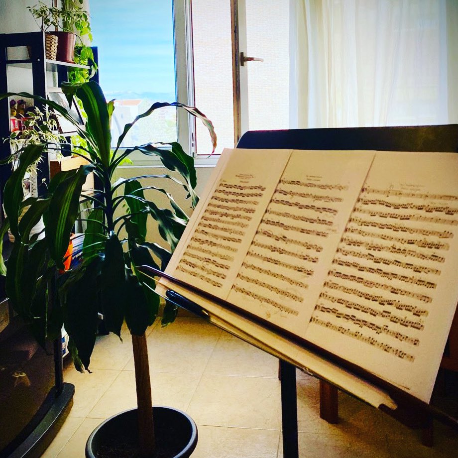 Los domingos también se trabaja 💪🏻😊
Y es que los músicos no paramos! Y mucho menos si hay conciertos a la vista! 🤩 <a href="/cndm_inaem/">CNDM</a> 

🗓Os vemos el día 25 de marzo en Oviedo
cndm.mcu.es/node/21789
🗓Y el día 26 de marzo en León
cndm.mcu.es/node/21788

🎻🎼🎶🎵🎶🎶🎵🎶🎵🎵🎶