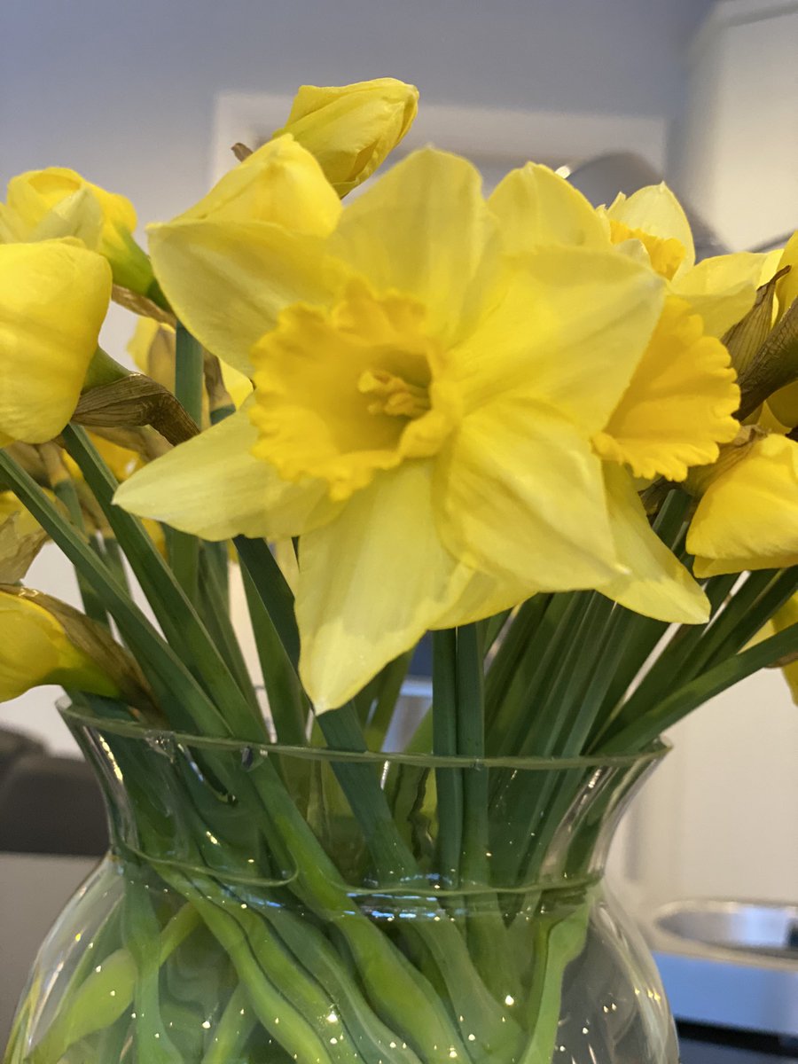 nottsobsdocs's tweet photo. For the mothers we support @NottmMaternity , the mothers among us and the mothers we love from the #nottsobsdocs team https://t.co/hmf1wbcOCu