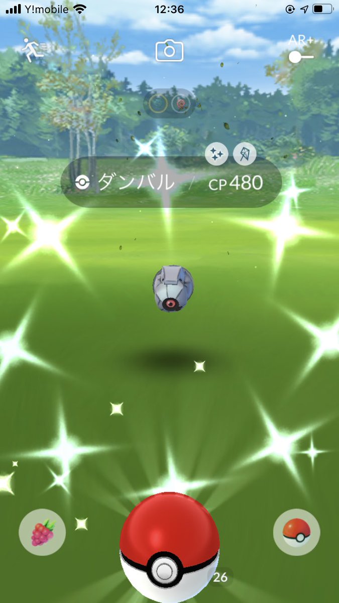 ちび おこう2時間やって 色ダンバル おこうイベントでも色違い出やすいって嬉しいな レイド産のメタングも進化 させて無事にコメパンメタグロスも仲間入り 進化しただけでエースのリザードンよりcp高くなった