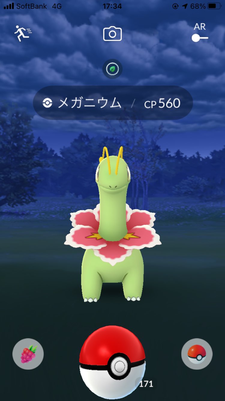 かい 野生のメガニウム ポケモンgo T Co Fwb1rv9pe7 Twitter