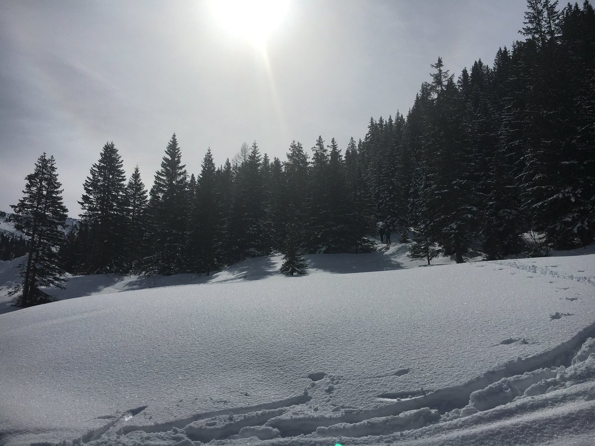 RitrixB's tweet photo. Gestern doch noch die Schi ausgepackt und auf der #planneralm ein paar Schwünge im Pulverschnee getätigt! Das Leben ist schön! #heutewirdwiederallesverstautfürkommendesjahr https://t.co/BQgPRRzKPj