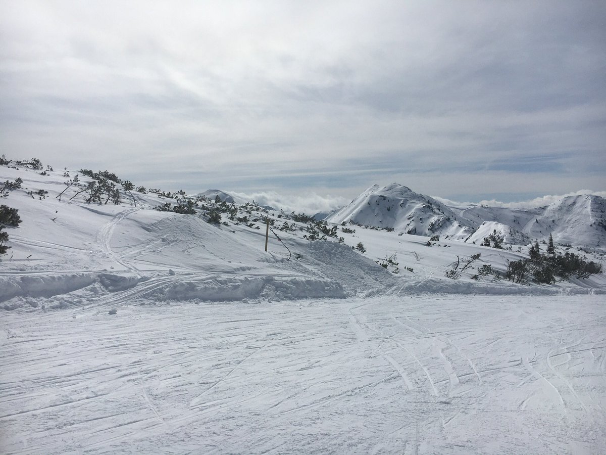 RitrixB's tweet photo. Gestern doch noch die Schi ausgepackt und auf der #planneralm ein paar Schwünge im Pulverschnee getätigt! Das Leben ist schön! #heutewirdwiederallesverstautfürkommendesjahr https://t.co/BQgPRRzKPj