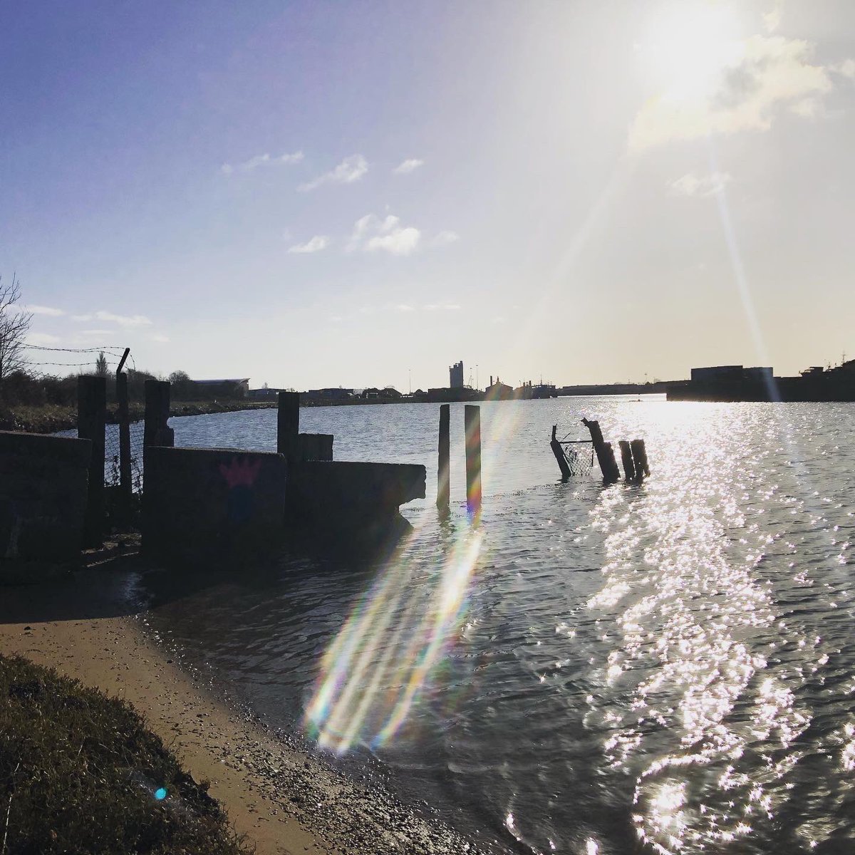 eastcoastbimble's tweet photo. Waking up the heavy legs from Friday! Quick loop via Oulton Broad boatyard 🛥⛵️🚤 @runningpunks #run #runner #running #norfolkrunning #suffolkrunning #norfolk #suffolk #eastanglia #trails #trailrunning #fitness #runnersofinstagram #boat #boatyard #oulton #oultonbroad #water #sun https://t.co/8gwHNxNzLH