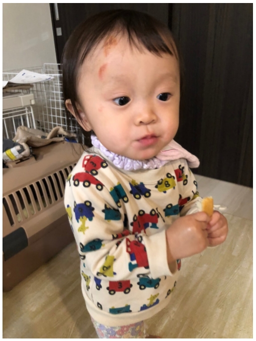 谷本真由美 めいろま 世界のニュースを日本人は何も知らない３ 発売中 Di Twitter 芸能人で金があるんだから個人で子守雇えばいいのに 何で集団保育のところに預けるんだろうね こんな投稿してこの人預け先から訴訟起こされるリスクを理解してない Twitter