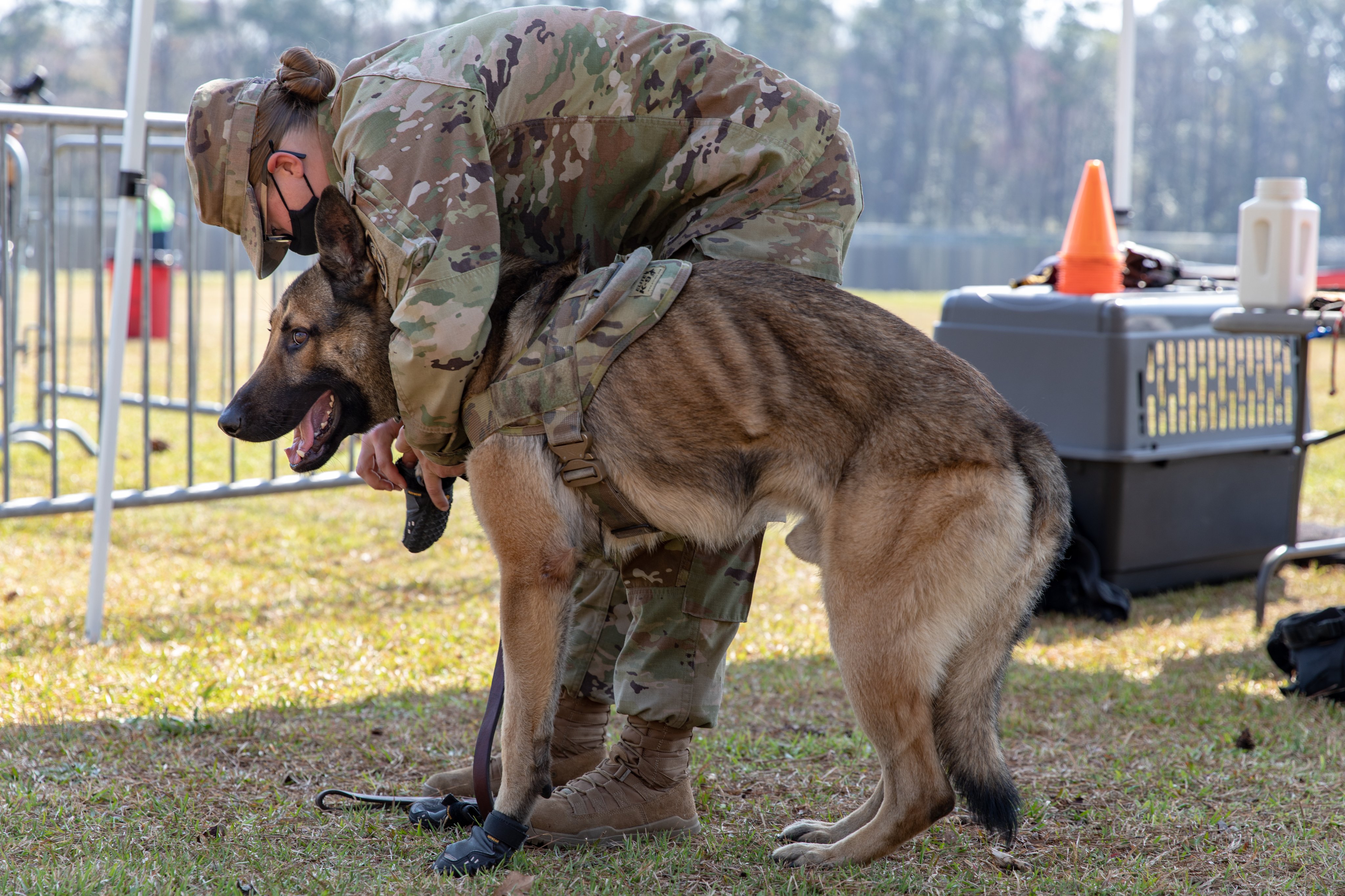 Southwood T Co Fdlrgatp3t アメリカ国の犬がかっこいい靴とゴーグルをつけています T Co 2kchpuqjma Twitter