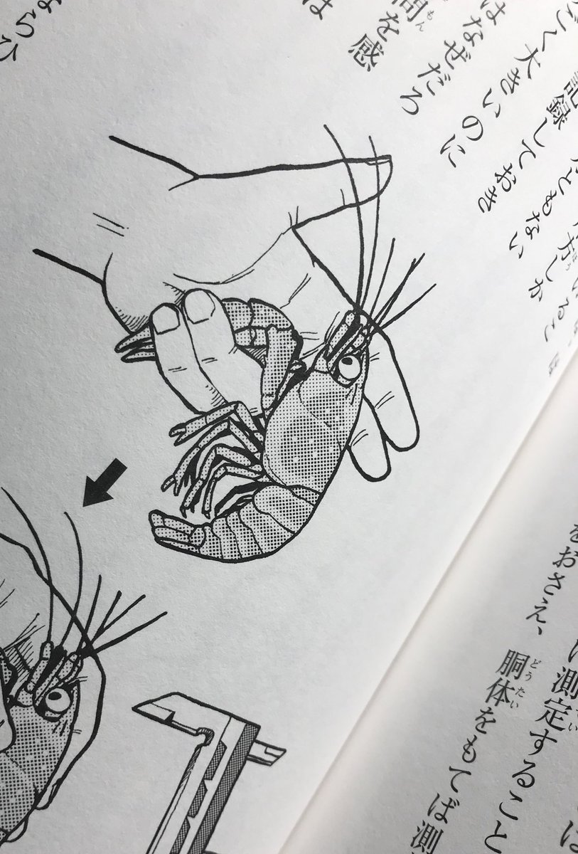 【発売中】
池の水なぜぬくの? 外来種を探すだけではない"ほんとうの理由"
くもん出版
https://t.co/cJk7oSw0lr

文と絵:安斉俊
監修:勝呂尚之

Amazon

https://t.co/XV7A8rqWkg

池の水をぬく時に大切なことを丁寧に。網の使い方からザリガニの持ち方まで!絵と写真多めでわかりやすく伝えます(^^) 