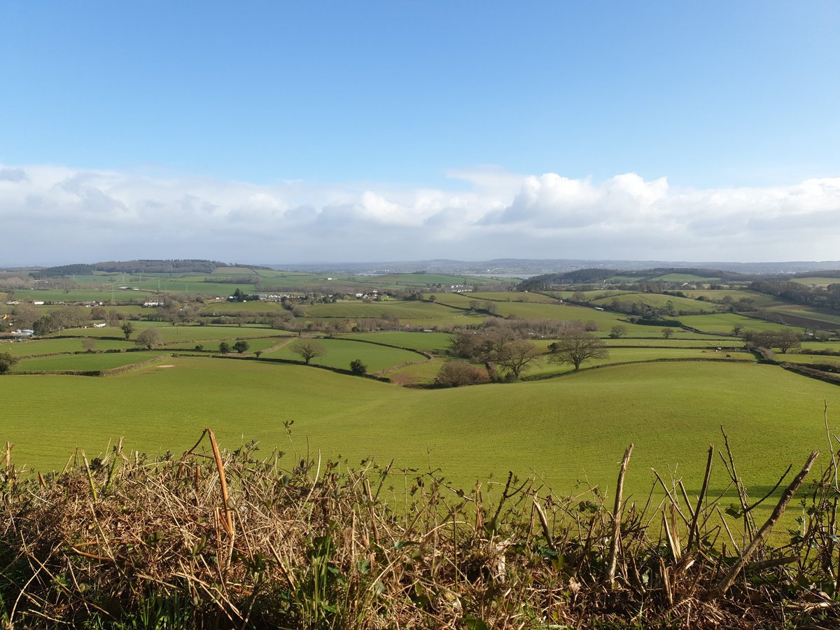 DumnoniChief's tweet photo. And another stunner of Devon #piratesvirtualwalk https://t.co/YyAyFXrlxg