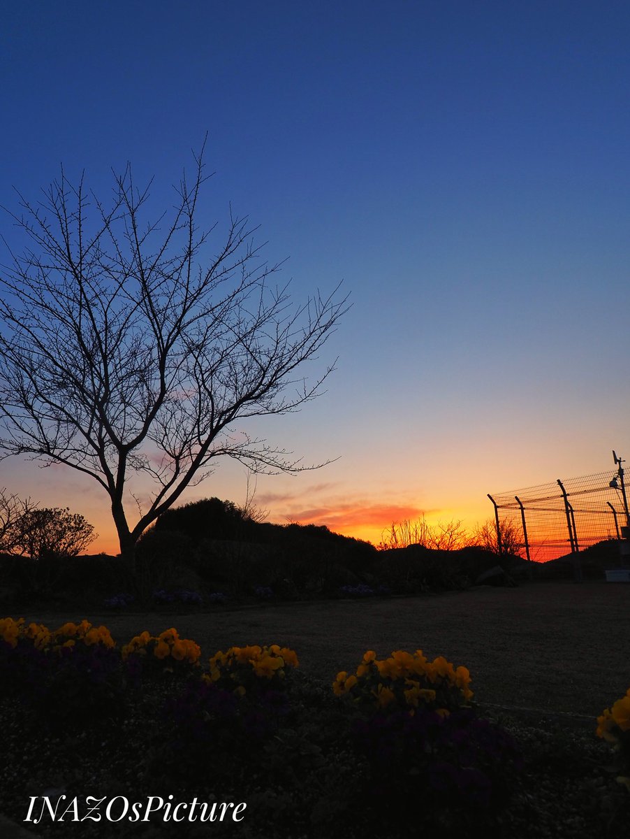 inazo_hardfolk's tweet photo. #夕陽 #夕焼け
2021/3/14
#岐阜県 #恵那市
#sunset #japanesesunset
#空 #sky #japanesesky
#日本の風景
#日本の風景写真
#風景撮影 #風景写真
#Landscapephotography
#Japaneselandscape
#日本 #Japan
#photo_jpn
#japan_of_insta #sorakataphoto
#INAZOsPicture https://t.co/sdfgbfi2y0