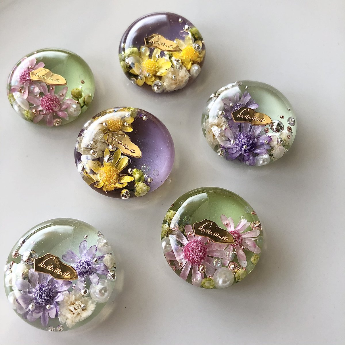 H A M A コーティング完了 ハンドメイド ハンドメイドアクセサリー レジン ドライフラワー 花 Flower お花畑 ピアス イヤリング H A M A コーティング完了 ハンドメイド ハンドメイドアクセサリー レジン ドライフラワー 花 Flower お花畑 ピアス イヤリング