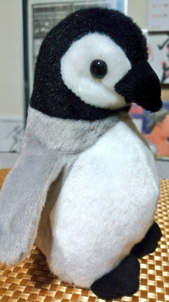 ペンギン可愛い