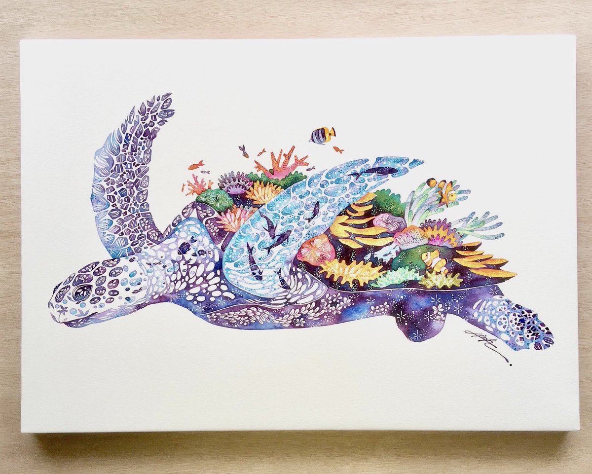 「*サンゴカメ*#ウミガメ #タケダヒロキ 」|タケダヒロキのイラスト