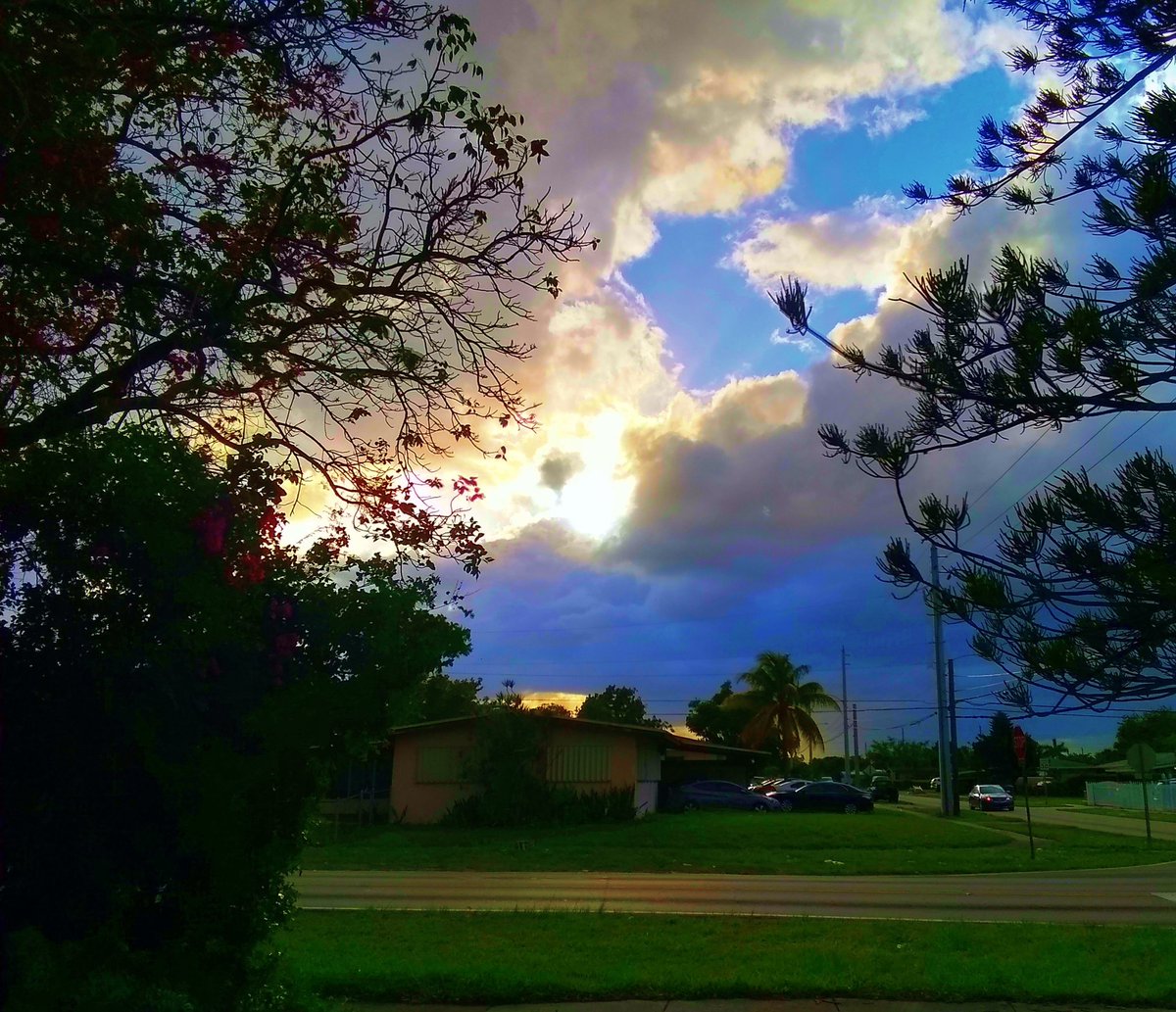 JorgeGNYCMIA's tweet photo. @JorgeG179 #Miami #Sky #Sunset #Palmtrees #Trees #photodaily #photography #photooftheweek #photosession #skyphotography #streetphotography #lensflare #SunsetOneEvening #riseandshine https://t.co/03CnluGizV