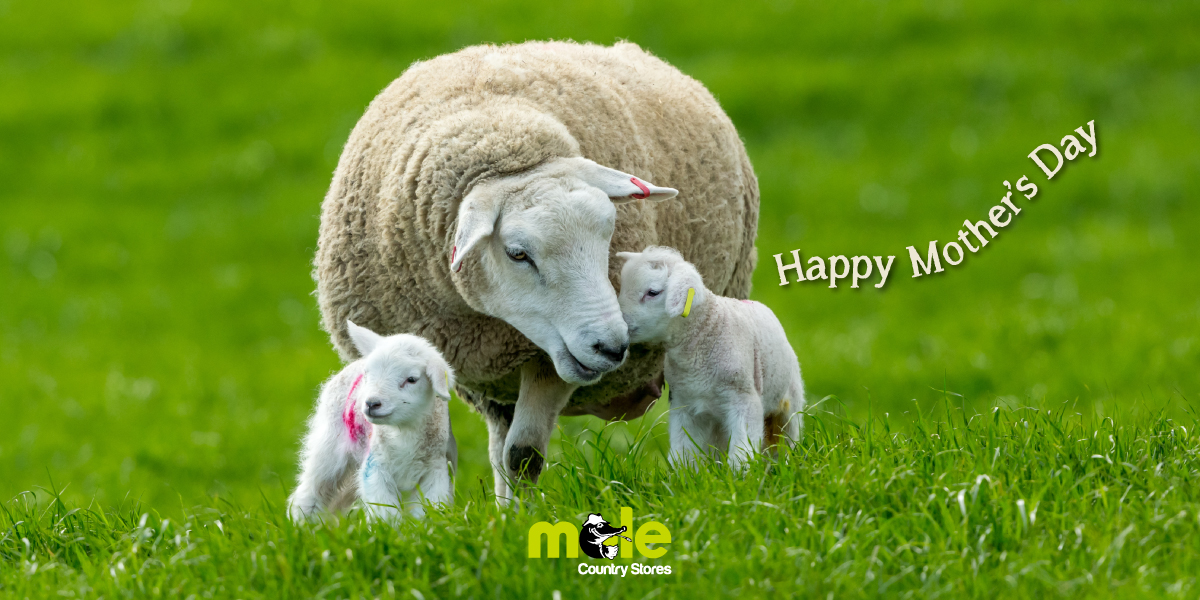 Happy Mother's Day ♥