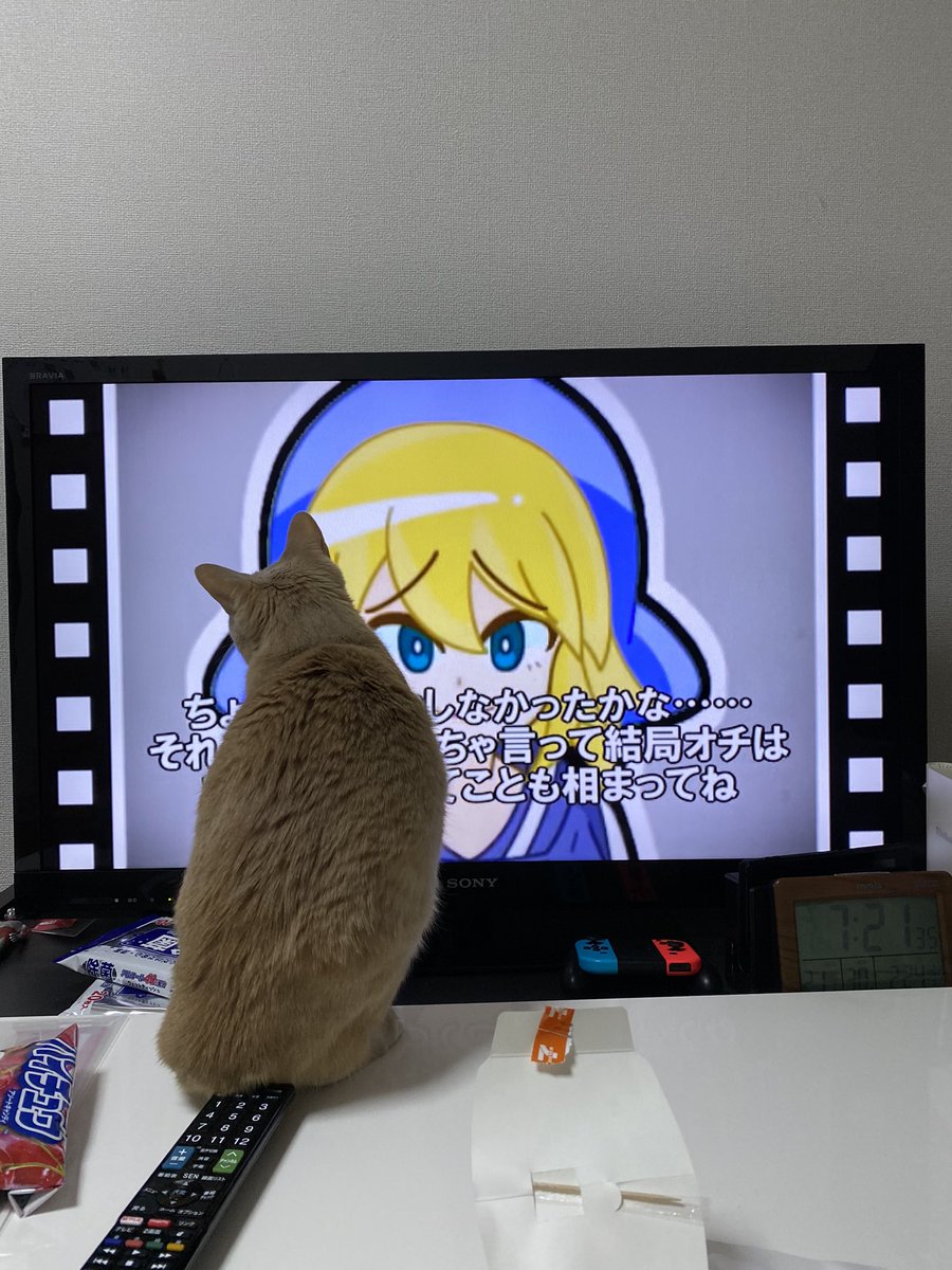 知的風ハット 知的風ハット
