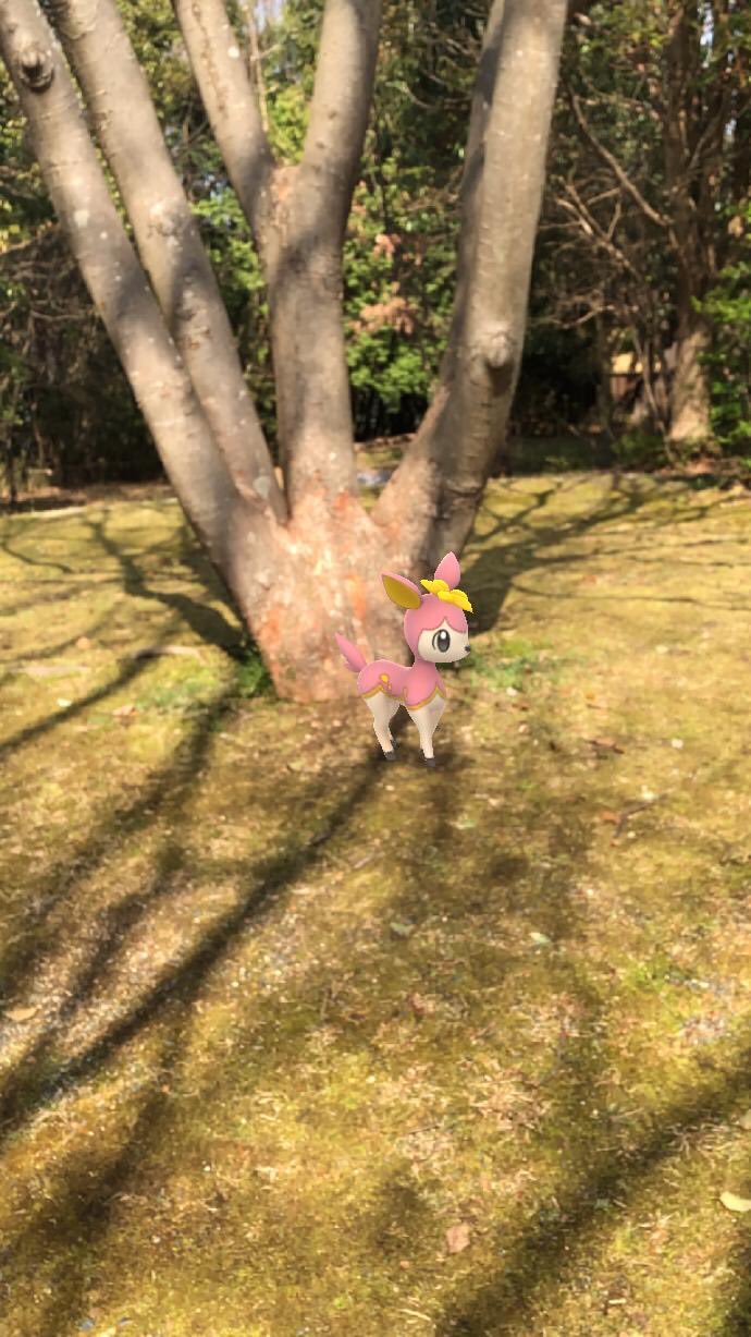 水色 今日はいい天気だったので公園へgo ダンバル色違いgetならず 代わりにボルトロスの色違い来ました 池のほとりなのでカエルちゃん ポケモンとのんびり写真 ポケモンgo ポケモンgo ケロマツ 公園 奈良 T Co 4p7ni3rkkm Twitter
