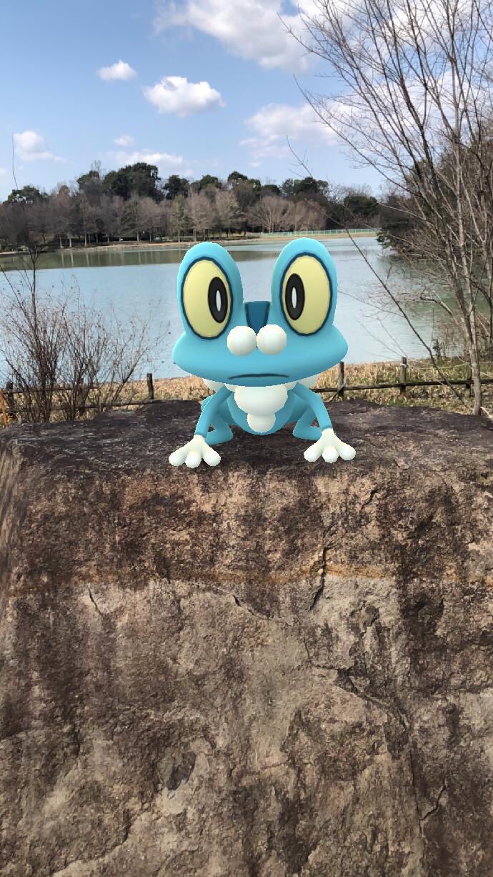 水色 今日はいい天気だったので公園へgo ダンバル色違いgetならず 代わりにボルトロスの色違い来ました 池のほとりなのでカエルちゃん ポケモンとのんびり写真 ポケモンgo ポケモンgo ケロマツ 公園 奈良 T Co 4p7ni3rkkm Twitter