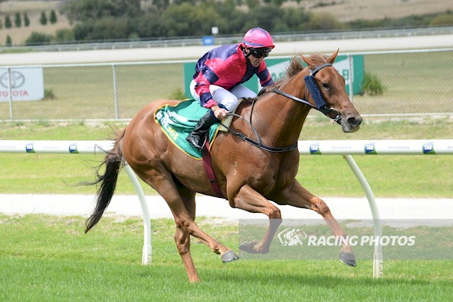 ROCKET PARK won his maiden by 1.5L <a href="/YVRacing/">Yarra Valley Racing</a> today for Benalla trainer Ken Aldous and jockey Joe Bowditch. Bred by Victoria’s Carrington Park, the gelding is by <a href="/SunStudHQ/">SUN STUD</a> sire SQUAMOSA. Congratulations!
