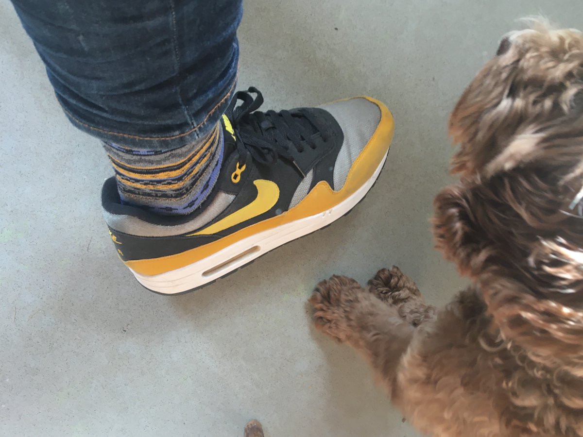 Goonerreed's tweet image. Stroll lined up for #MotheringSunday. Dusted off the Max 1s and Ben Sherman socks (and doggo) before heading out into #Walthamstow @SockCouncil #socksoutsunday