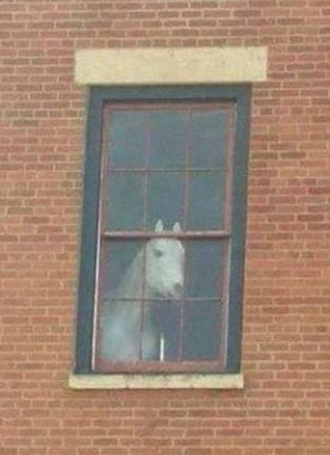 Me Waiting for Amazon to deliver my ps5