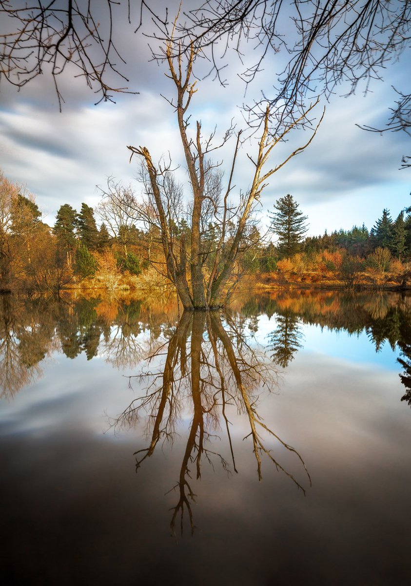 Wigpool Reflections

Incredibly calm conditions at the local nature reserve were calling for photographs of reflections.
#StormHour #ThePhotoHour 
#wigpool #reflections #deadtree #Mitcheldean #forestofdean #longexposure