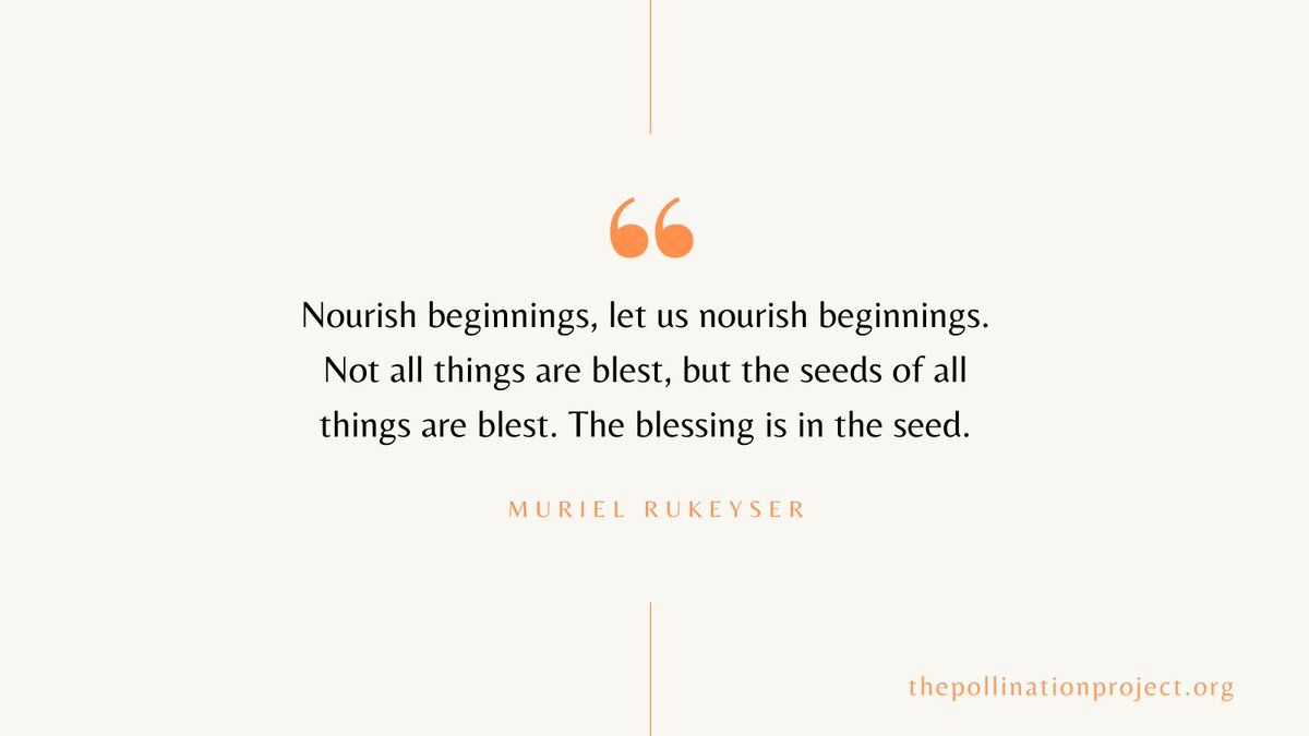 Pollinationproj's tweet image. #seedthechange #thepollinationproject