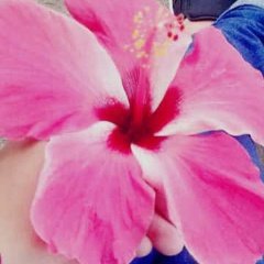 psiccc's tweet photo. #NewProfilePic https://t.co/1asLIhZkbs