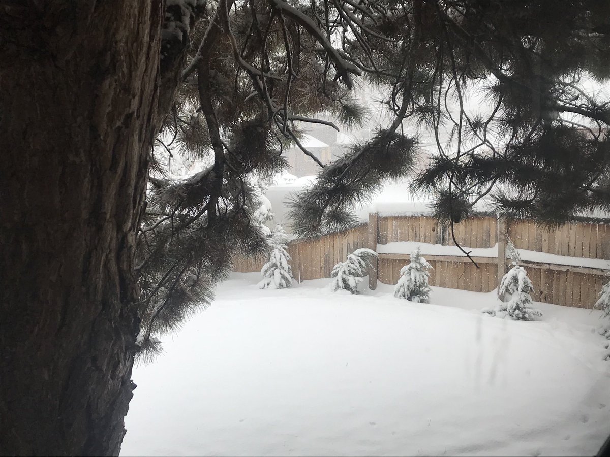 StrangeCraft Beer Co tweet media