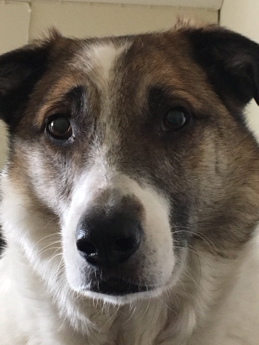 Mika Lilja tweet media