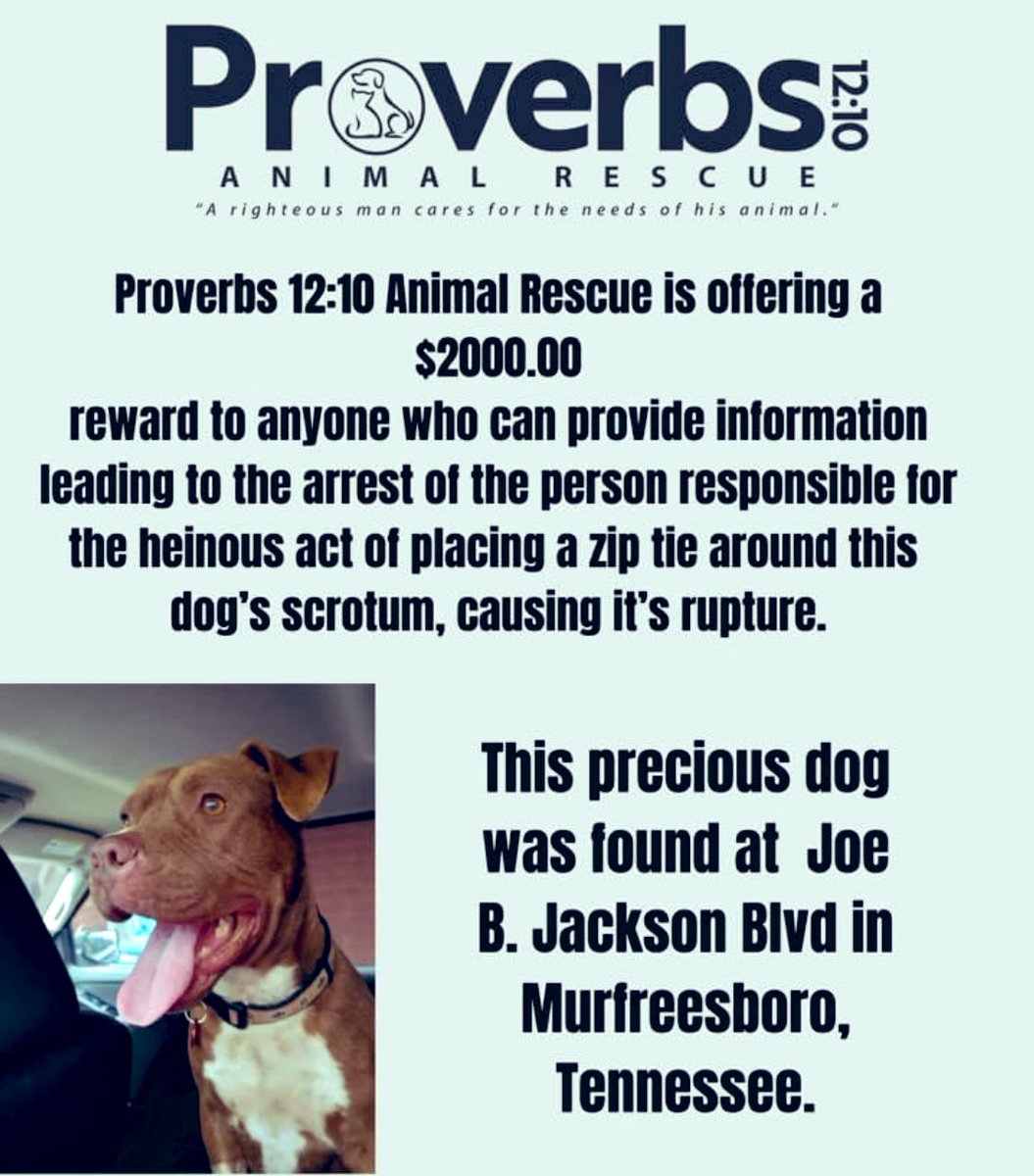 If you ever shared anything, share this. Zip needs justice!