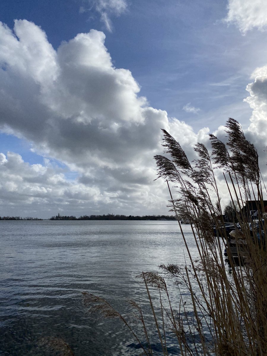 marjaruigrok's tweet photo. Nog één rondje in Rijsenhout. Als je nog niet weet wat je gaat stemmen, kijk dan nog even goed rond. Ik weet het al wel, maar dat hoeft jouw keus niet te zijn. Ga in elk geval stemmen! #stemrecht #grootgoed #vrijheid https://t.co/4BbuNFzKb3