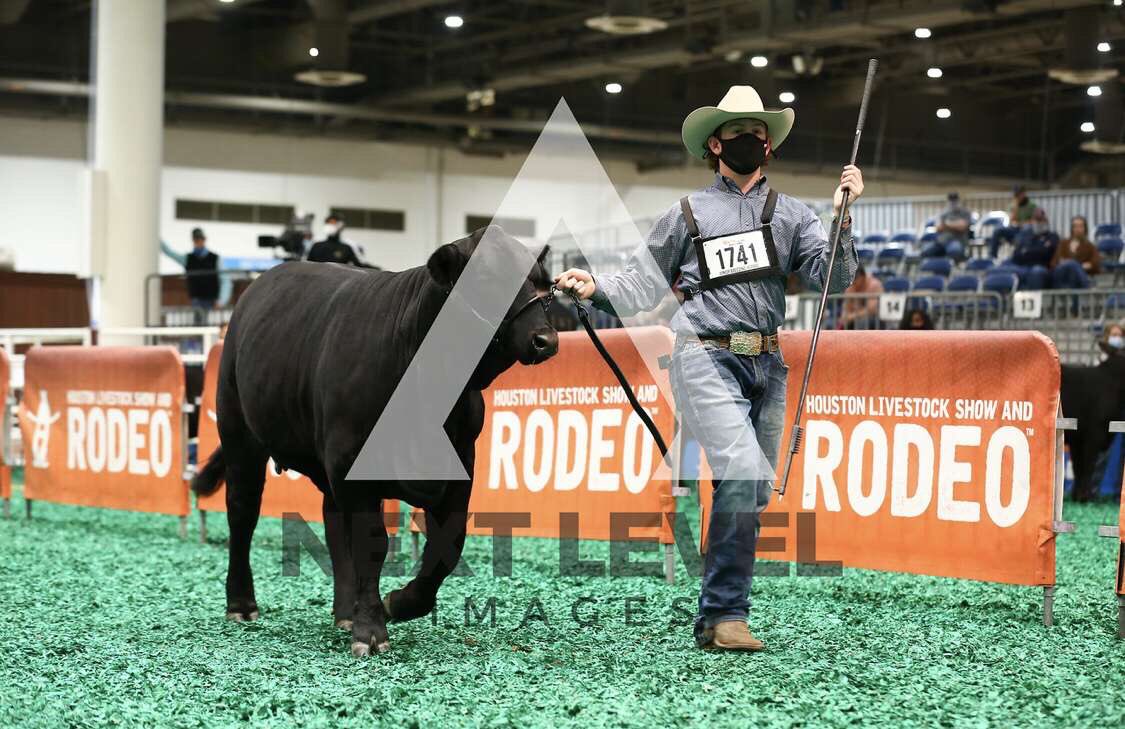 TeagueFFA's tweet photo. Our show team traveled to Houston and competed in the Houston Livestock show! Congratulations to everyone! L to R: Ian Fitzgerald, Kendall Thompson, &amp; Rowdy Phillips https://t.co/Op95Vnl0yn