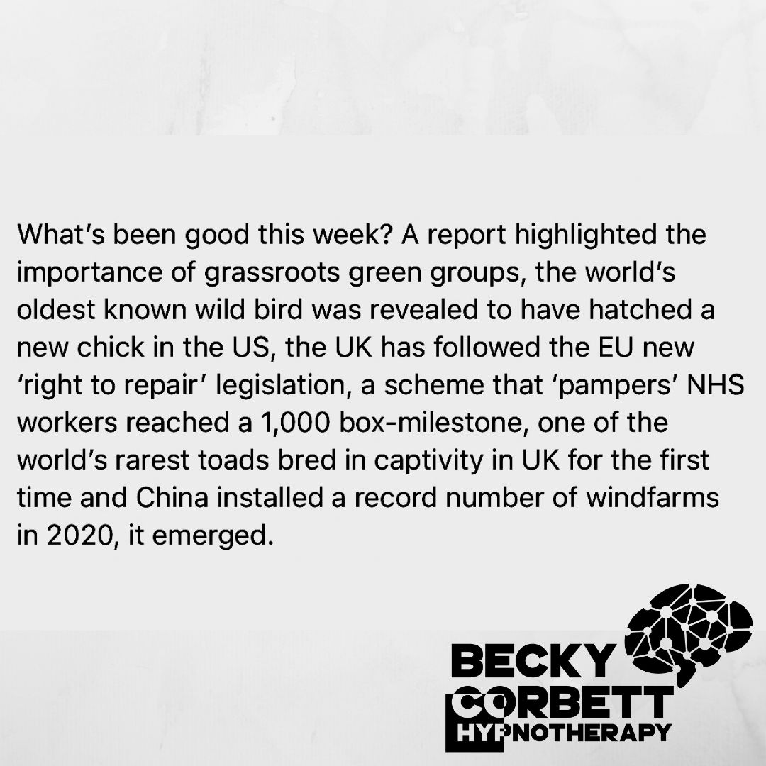 racperspective's tweet photo. What’s been good this week? #positivenews #albatross #righttorepair #windfarms #pamperaid #VariableHarlequinToad #US #UK #China #NHS #beckycorbetthypnotherapy https://t.co/HsvQD68biS https://t.co/sJHnsTEeX0